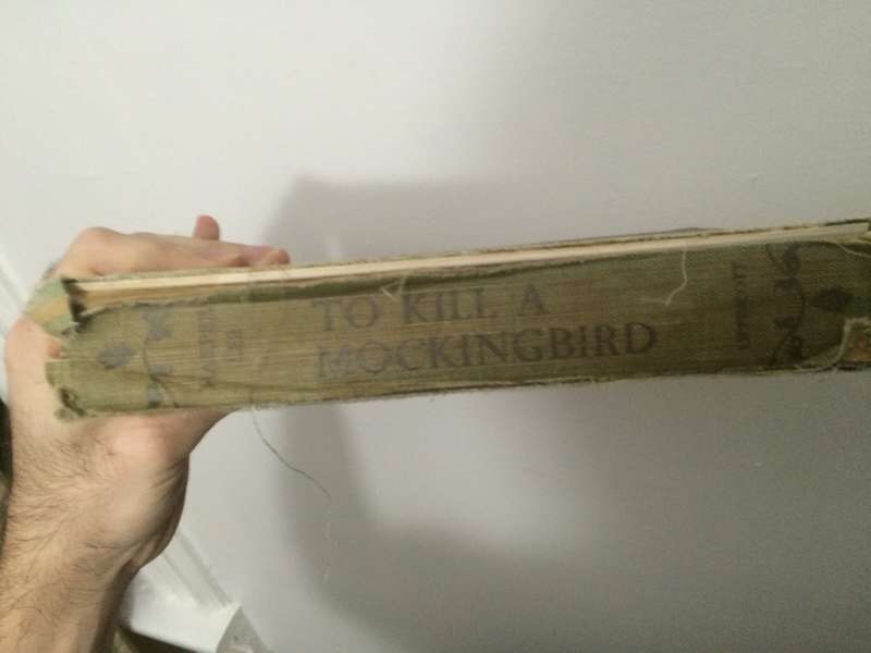 To kill a mockingbird 