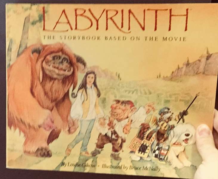 The storybook of Labyrinth 