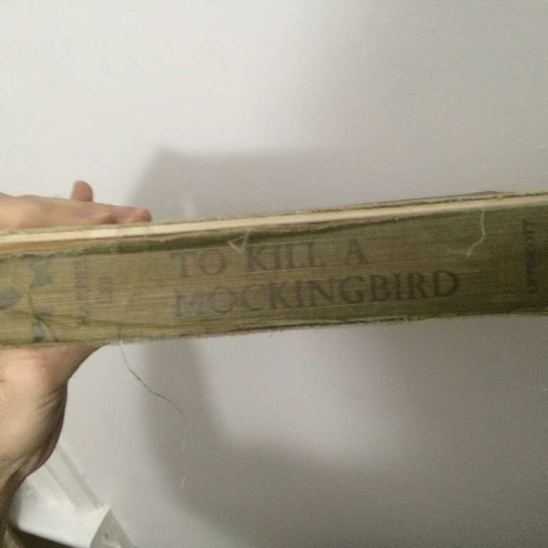 To kill a mockingbird 